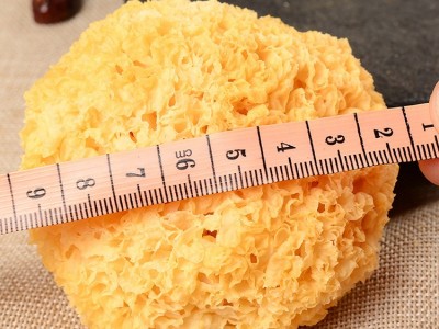 鑫吉黏稠性强密度小挑选古田银耳 丑耳银耳500g一件代发图4