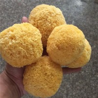 鑫吉黏稠性强密度小挑选古田银耳 丑耳银耳500g一件代发