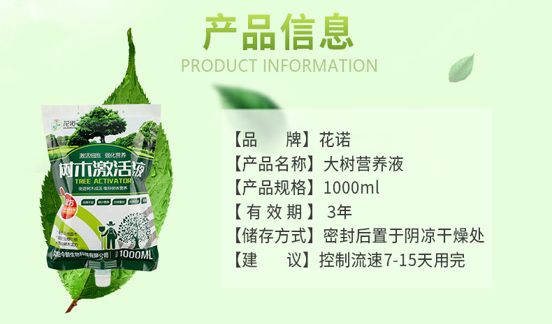 图片_04