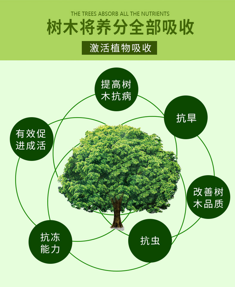 图片_01