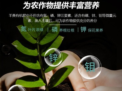 花诺高温腐熟发酵羊粪有机肥瓜果蔬菜绿植花卉果疏微生物肥料羊粪图2