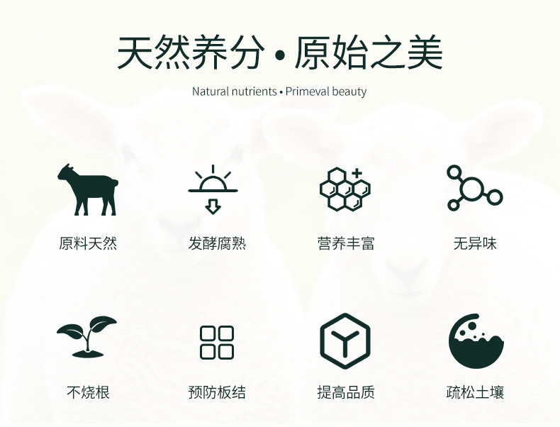 图片_2