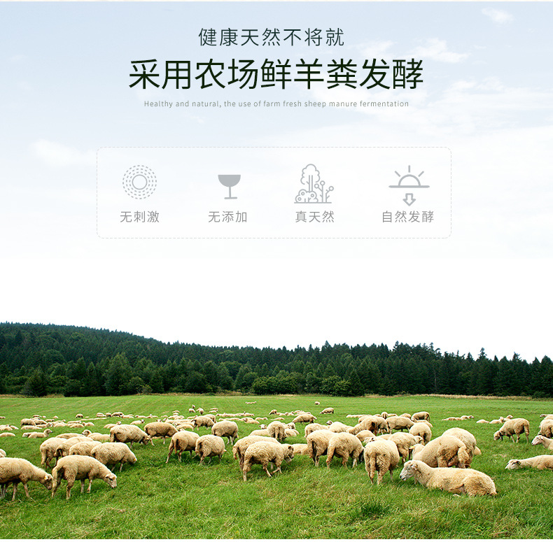 图片_4