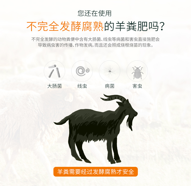 图片_3