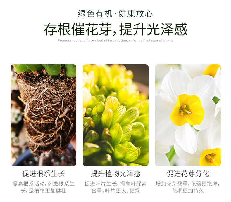 图片_6