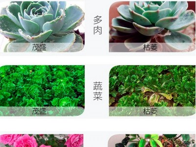 花诺家用鸡粪发酵花卉肥蔬果有机肥料纯生物肥农家肥鸡屎鸡粪肥料图4