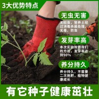 包邮通用育苗基质有机营养土阳台种蔬菜花卉专用泥炭土种植土批发