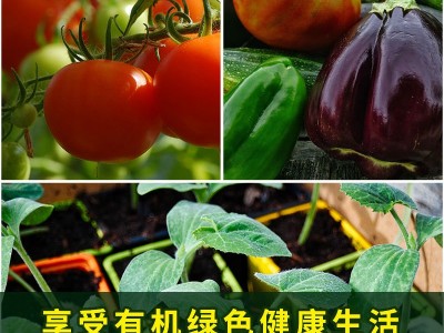 包邮通用育苗基质有机营养土阳台种蔬菜花卉专用泥炭土种植土批发图4