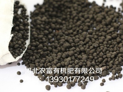 生物有机肥 颗粒有机肥【厂家批发】高活性菌群肥效持久 首单优惠图2