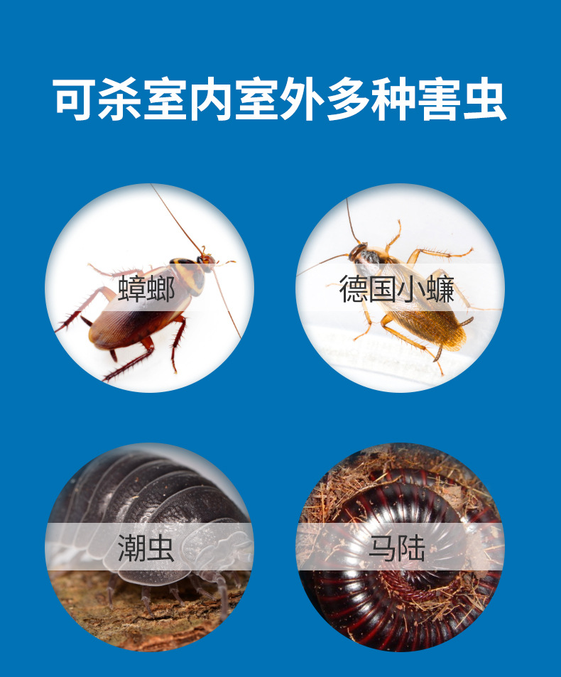 虫粉_02