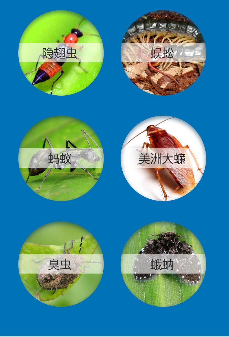 虫粉_03
