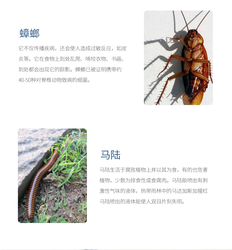 虫粉_05