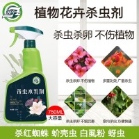杀虫剂花卉植物通用花草红蜘蛛蚜虫蚧壳虫专用多肉杀虫药家用花药