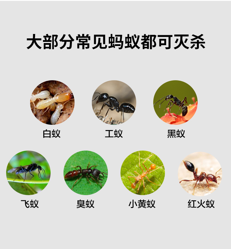 蚂蚁详情页_04