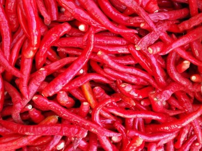 供应遂乡缘腌渍辣椒 腌渍红辣椒 泡红椒 腌制辣椒图2