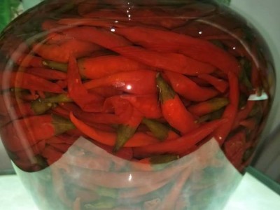 厂家散装盐渍辣椒 腌制辣椒 腌渍辣椒 泡红椒 腌辣椒图2