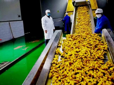 姜片批发 贵州产地发货 源头货源姜片图3