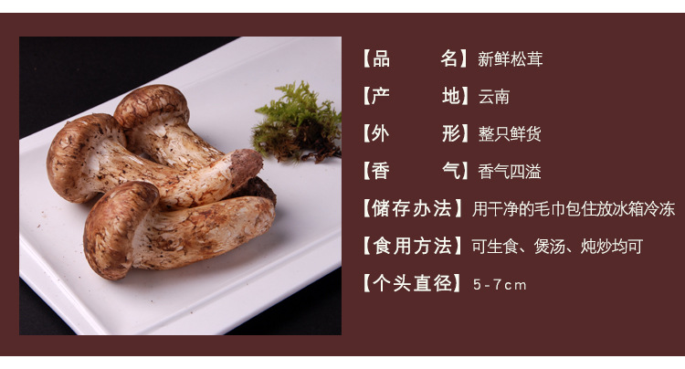 48新鲜松茸_05
