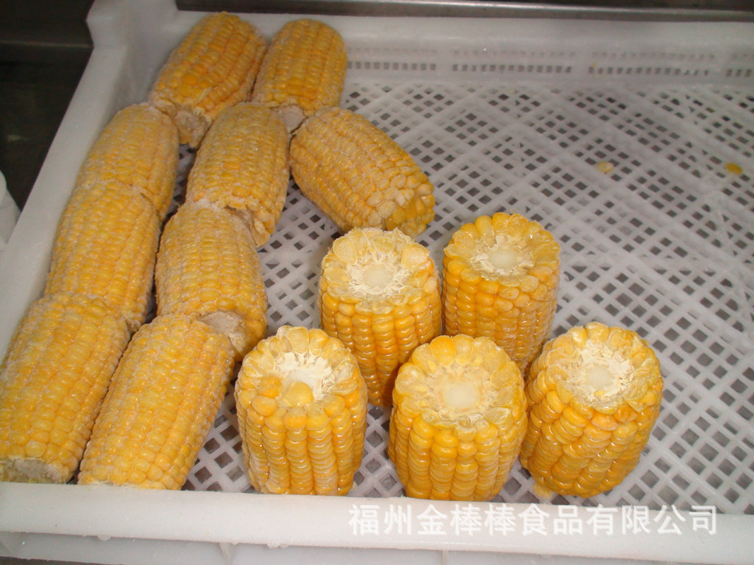 DSC02506