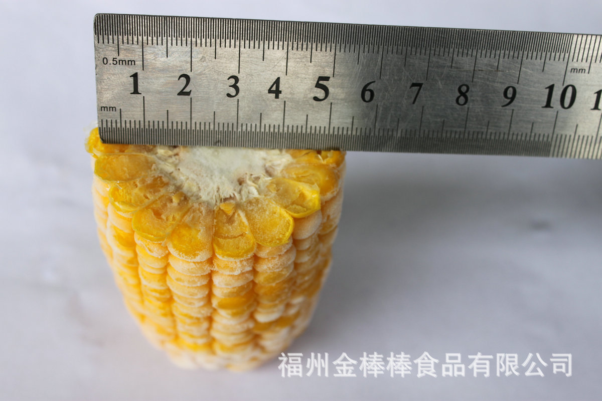 速冻甜玉米段直径5cm