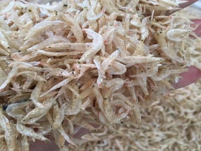 虾皮批发 淡干虾皮 熟虾皮 流水线 海味 海鲜干货批发量大从优图3
