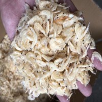 虾皮批发 淡干虾皮 熟虾皮 流水线 海味 海鲜干货批发量大从优