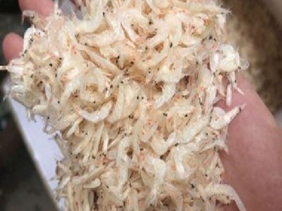 虾皮批发 淡干虾皮虾米虾仁虾干熟虾皮200g海味水产干货批发图3