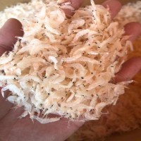 虾皮批发 淡干虾皮虾米虾仁虾干熟虾皮200g海味水产干货批发