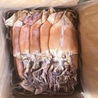 批发干鱿鱼 海鲜干货海产特产阿根廷鱿鱼干10kg海味干批发