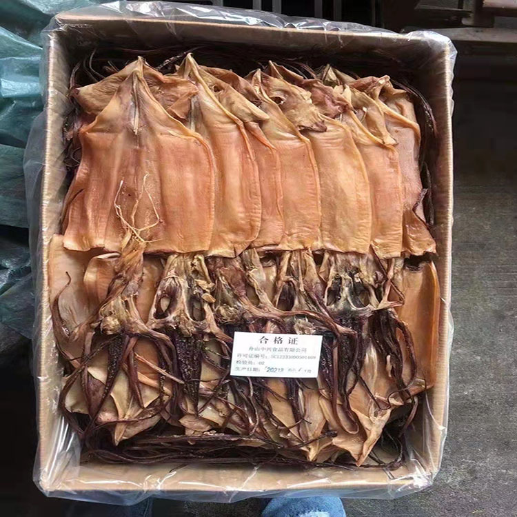 鱿鱼5