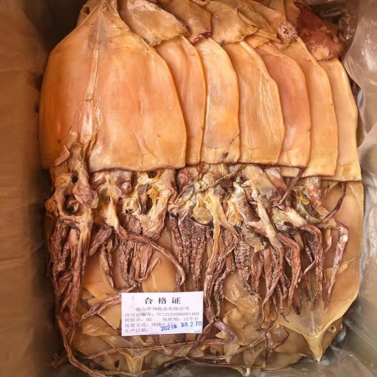 鱿鱼1