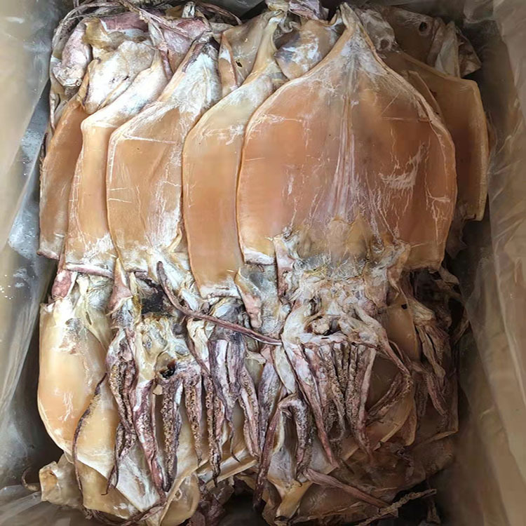 鱿鱼3