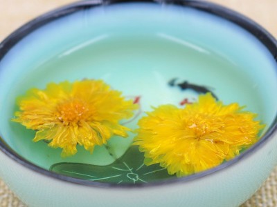 产地货源休宁黄菊花批发散装黄菊花茶基地直发500克小黄菊金贡菊图2