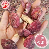 【小额批发】精选野生红菇小标菇菇丁哥食用菌干货工厂现货