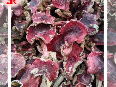 【小额批发】精选野生红菇平面菇食用菌干货250g/袋图3