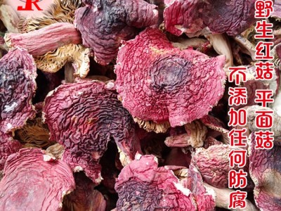 【小额批发】精选野生红菇平面菇食用菌干货250g/袋图2