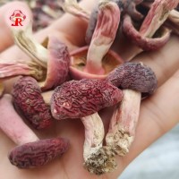 工厂现货 小额批发精选野生红菇小菇丁自然晾干食用菌干货
