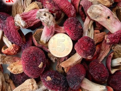 工厂现货 小额批发精选野生红菇小菇丁自然晾干食用菌干货图2