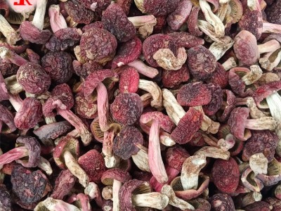 工厂现货 小额批发精选野生红菇小菇丁自然晾干食用菌干货图3