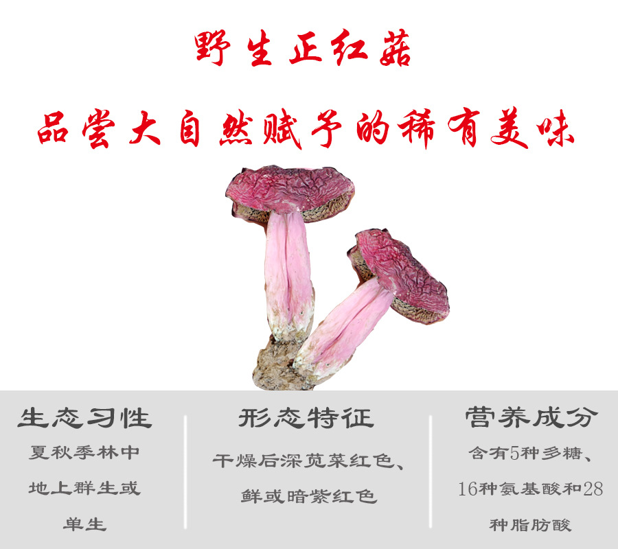 详2