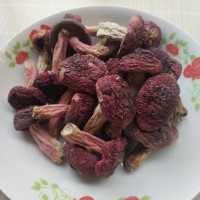 品隆顺红菇2.5~3cm 菌菇干货批发食用山珍福建红菇