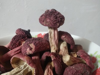 品隆顺红菇2.5~3cm 菌菇干货批发食用山珍福建红菇图5