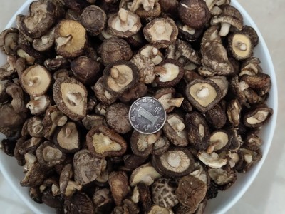 剪脚小香菇  香菇    干香菇图5