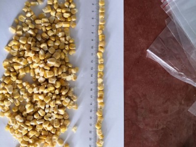 冻干玉米 FD甜玉米粒 水果玉米粒散装冷冻速冻玉米粒图4