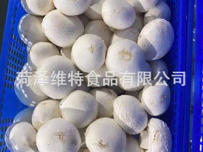 冻干蘑菇双孢菇 冻干蔬菜 脱水蔬菜图3