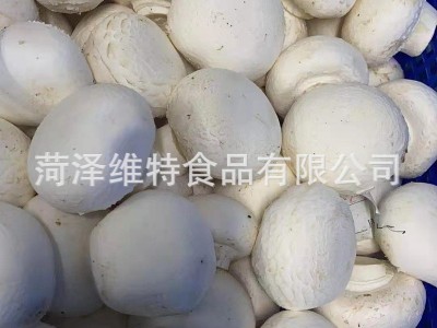冻干蘑菇双孢菇 冻干蔬菜 脱水蔬菜图5