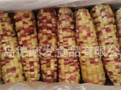 速冻甜玉米棒16-18cm 粘玉米棒14-16cm 糯玉米棒水果玉米图3