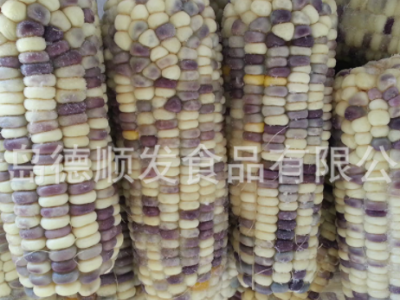 速冻甜玉米棒16-18cm 粘玉米棒14-16cm 糯玉米棒水果玉米图5