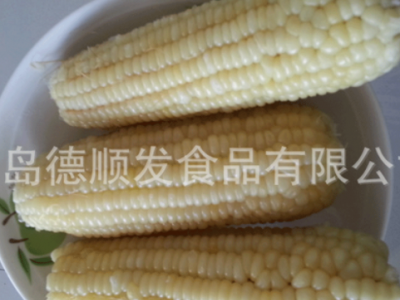 速冻甜玉米棒16-18cm 粘玉米棒14-16cm 糯玉米棒水果玉米图4