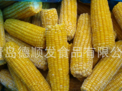 速冻甜玉米棒16-18cm 粘玉米棒14-16cm 糯玉米棒水果玉米图3